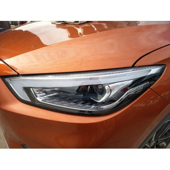 FARO IZQUIERDO 11275385 