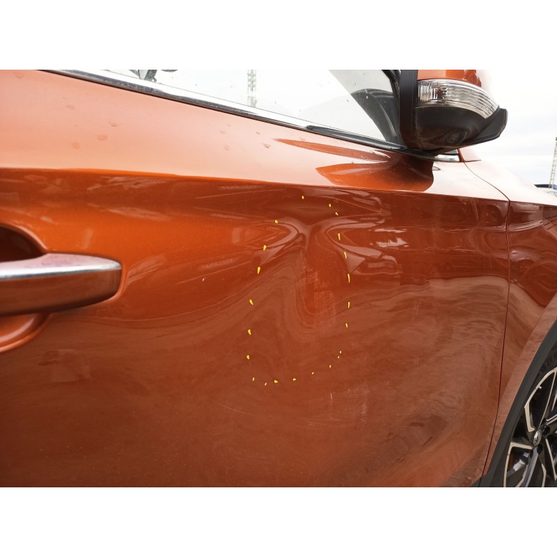 PUERTA DELANTERA DERECHA 5539077