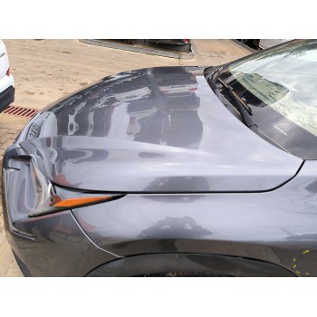 Recambio de capot para lexus nx referencia OEM IAM   