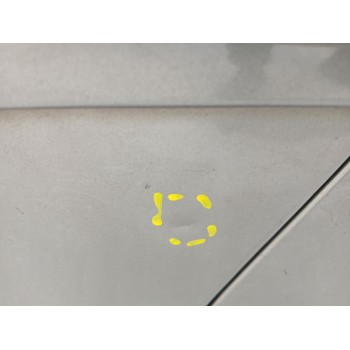 Recambio de puerta delantera izquierda para peugeot 207 referencia OEM IAM   