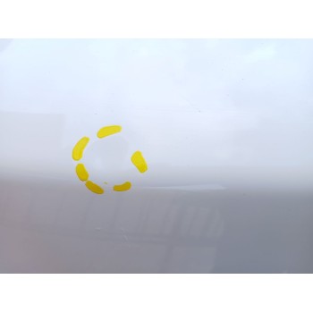 Recambio de capot para ford ecosport 1.0 ecoboost referencia OEM IAM   