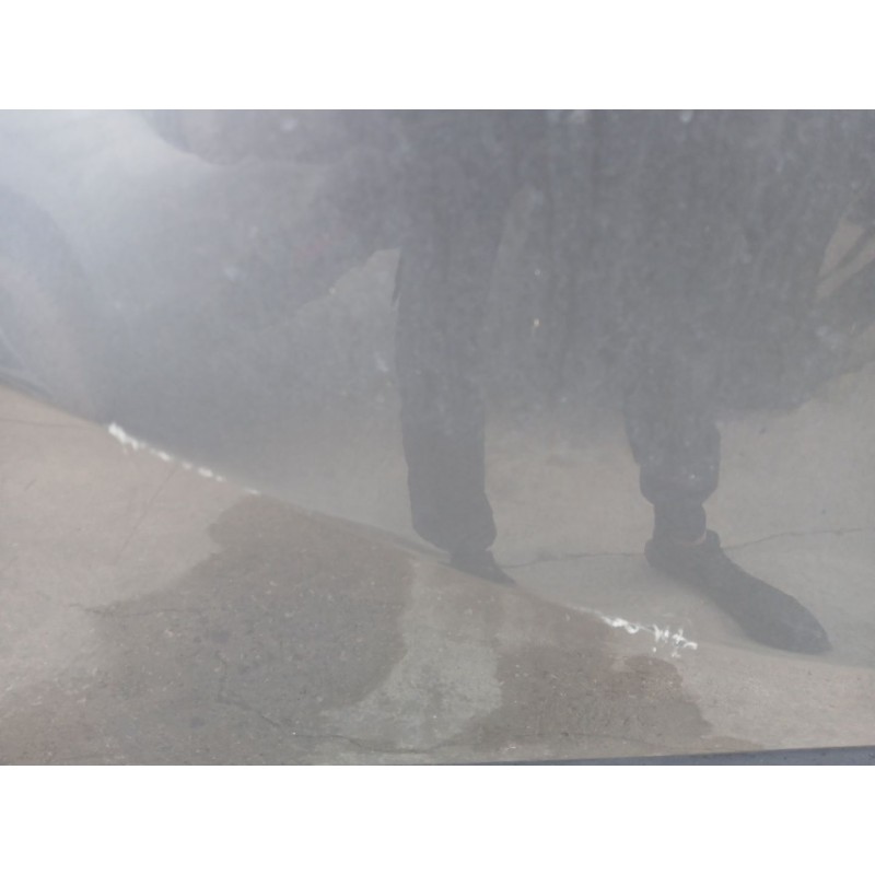 PUERTA DELANTERA IZQUIERDA