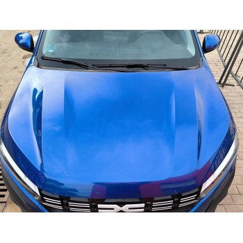 Recambio de capot para dacia sandero iii 1.0 sce 65 referencia OEM IAM   