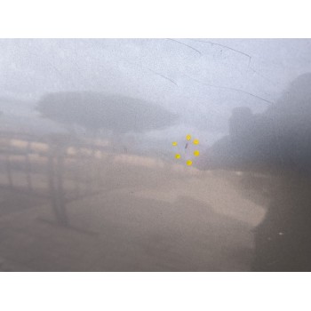 Recambio de puerta trasera izquierda para nissan qashqai i (j10, nj10) 1.5 dci referencia OEM IAM   