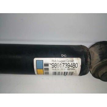 Recambio de amortiguador trasero derecho para citroën c3 tonic referencia OEM IAM 9801739480  