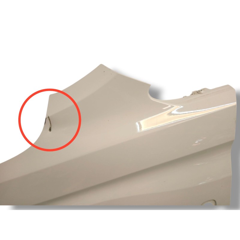 ALETA DELANTERA IZQUIERDA