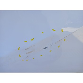 Recambio de puerta delantera derecha para opel crossland x / crossland (p17, p2qo) 1.2 (75) referencia OEM IAM   