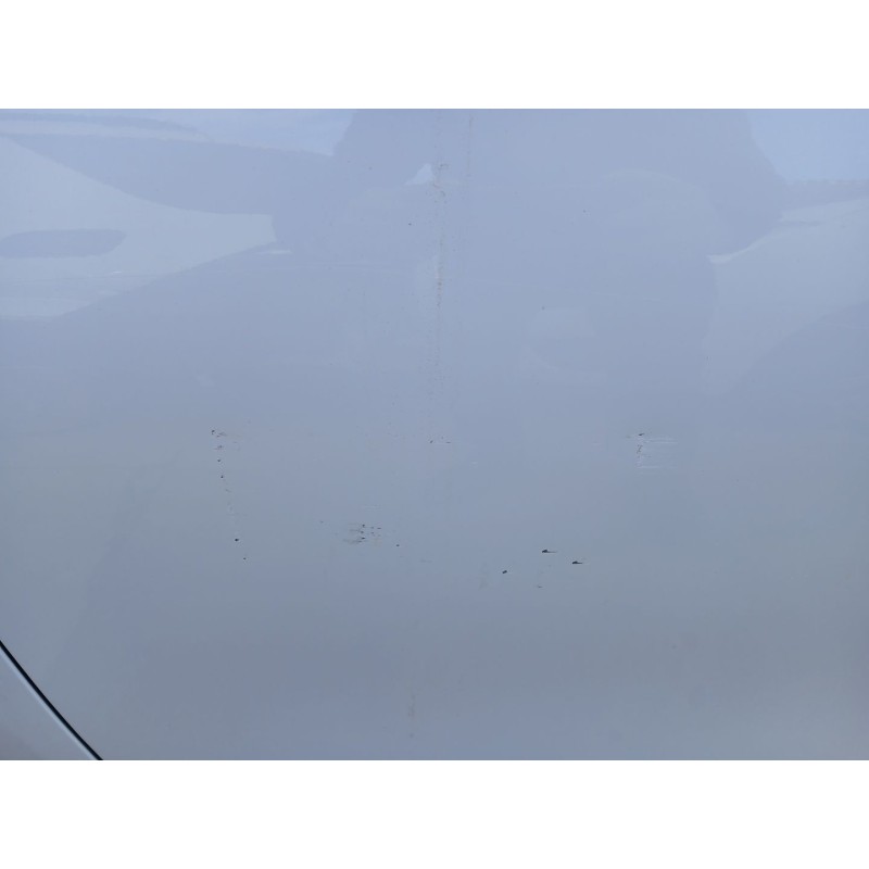 PUERTA DELANTERA IZQUIERDA