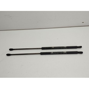 Recambio de amortiguadores maletero / porton para citroën ax (za-_) 14 d referencia OEM IAM   