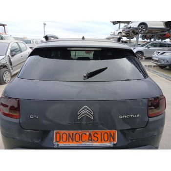 PORTON TRASERO 9800805380 