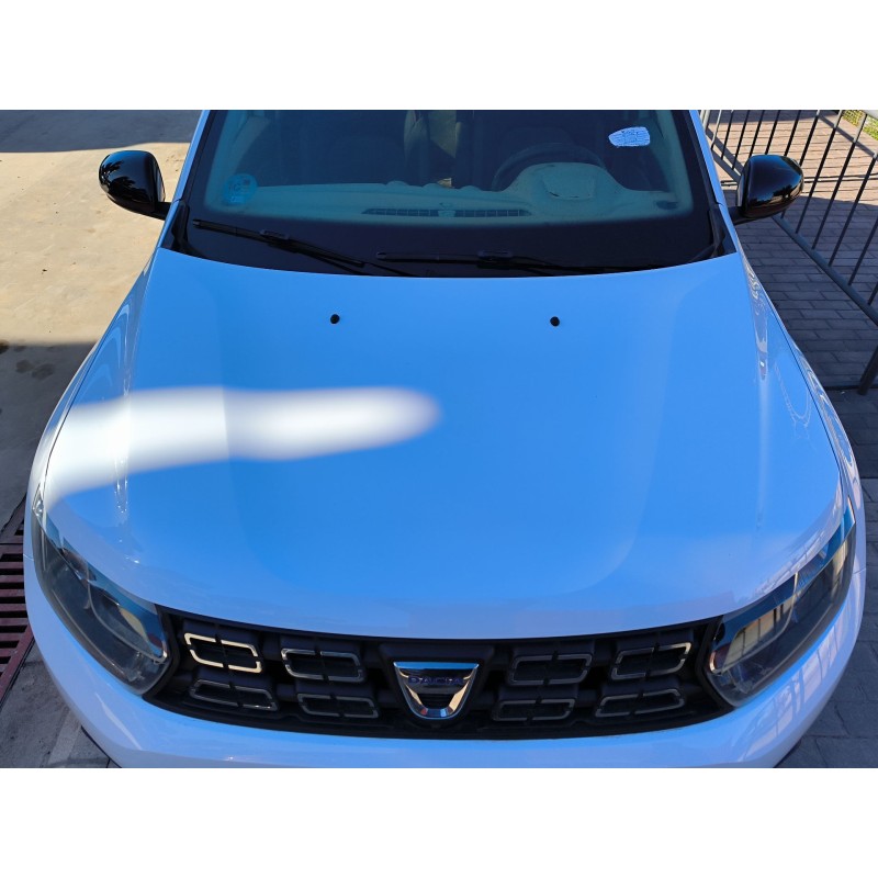 Recambio de capot para dacia duster (hm_) 1.3 tce 150 (hmm3) referencia OEM IAM 651008347R  