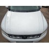 Recambio de capot para volkswagen tiguan (ad1, ax1) 2.0 tdi referencia OEM IAM   