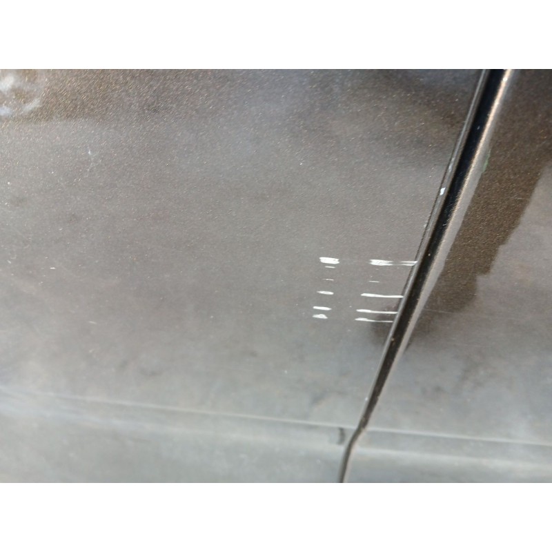 PUERTA DELANTERA IZQUIERDA