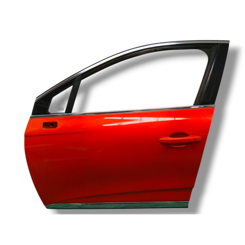 PUERTA DELANTERA IZQUIERDA 801117899R