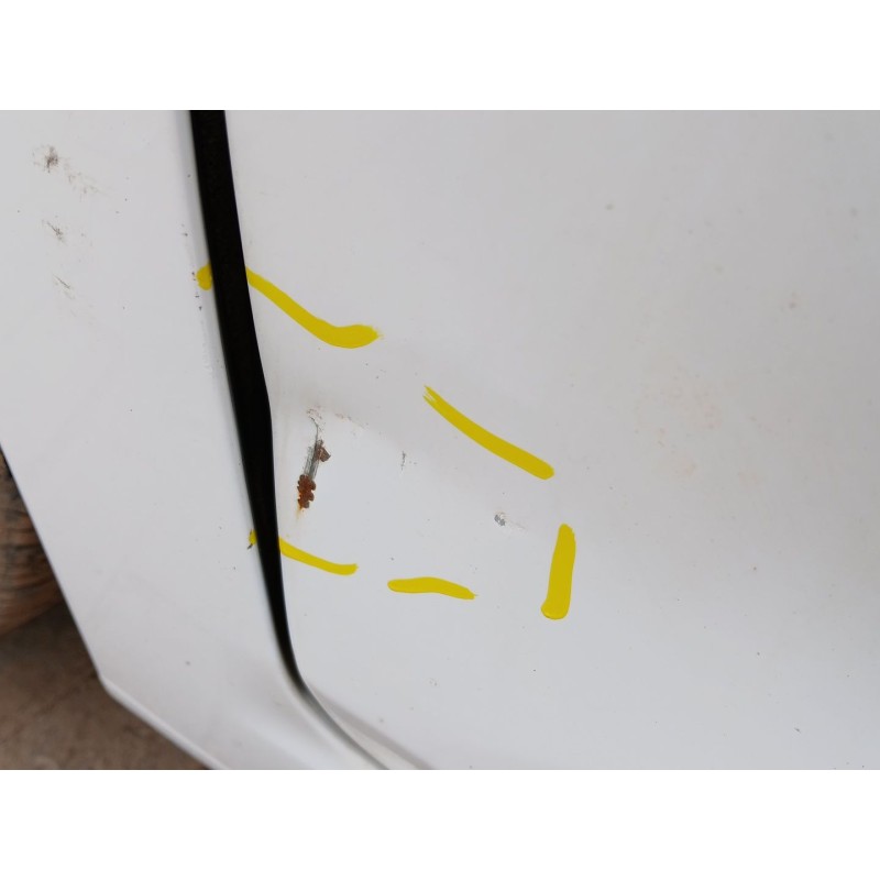 PUERTA DELANTERA IZQUIERDA