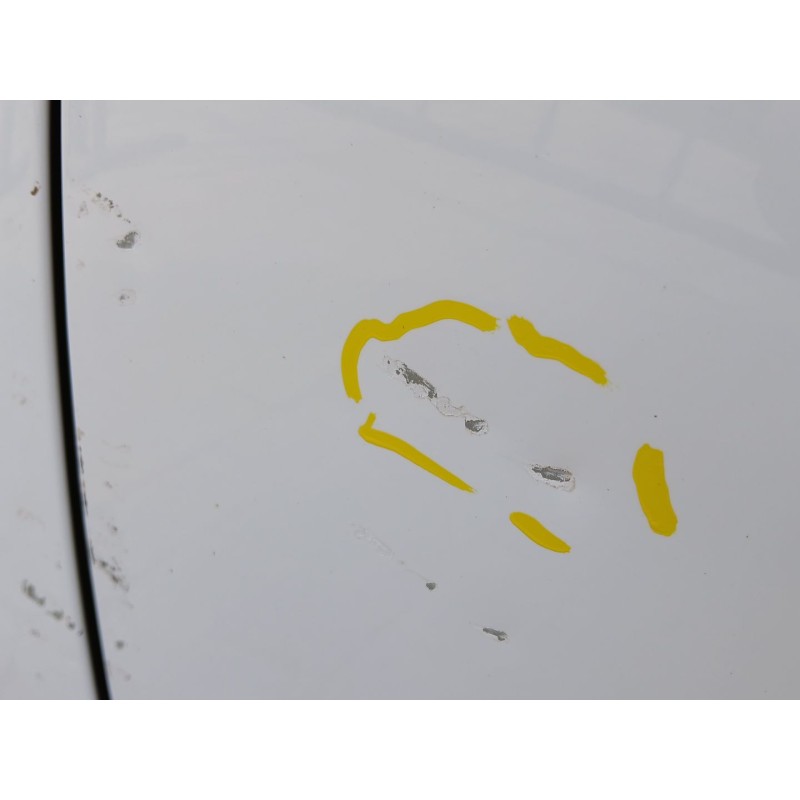 PUERTA DELANTERA IZQUIERDA