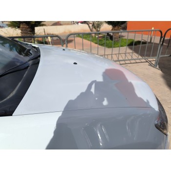 Recambio de capot para dacia sandero ii (b8_) tce 90 (b8m1, b8ma) referencia OEM IAM 651001918R  