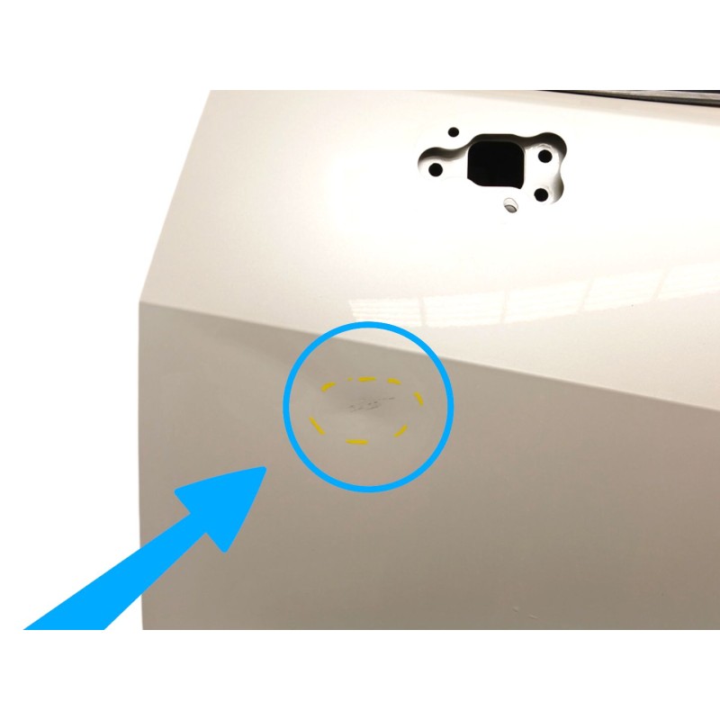 PUERTA DELANTERA IZQUIERDA