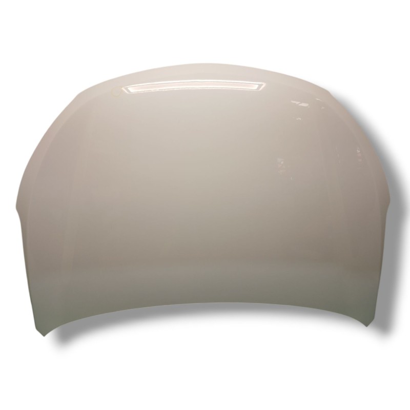 Recambio de capot para hyundai santa fé iii (dm, dma) 2.2 crdi 4wd referencia OEM IAM 664002W000  