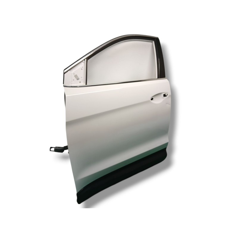 PUERTA DELANTERA IZQUIERDA