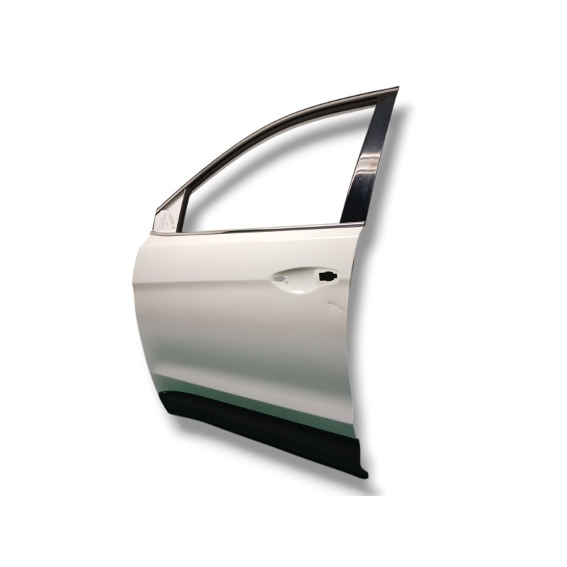 PUERTA DELANTERA IZQUIERDA