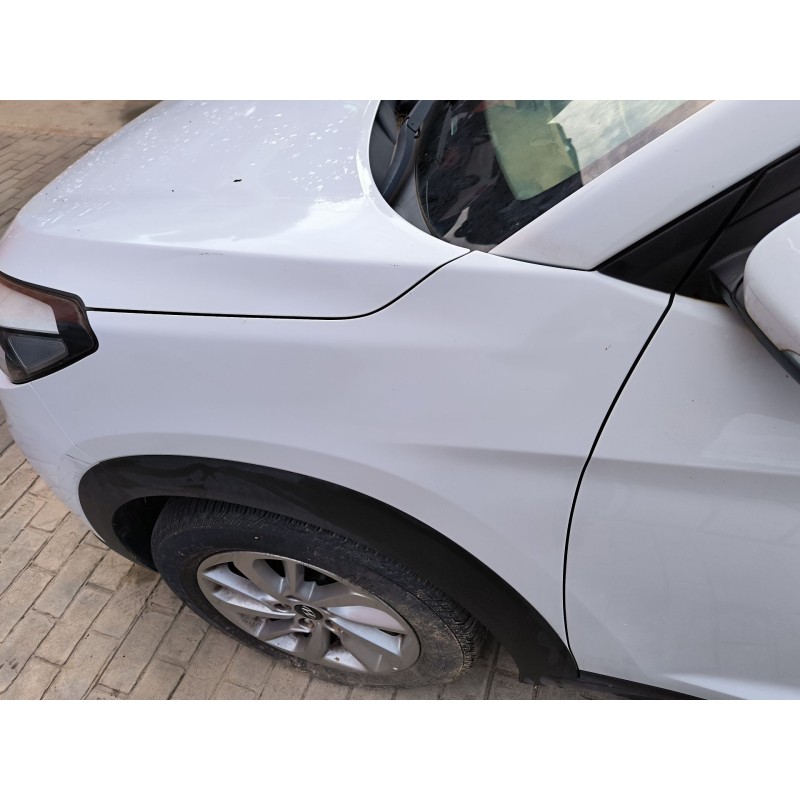 ALETA DELANTERA IZQUIERDA