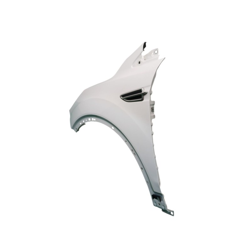 ALETA DELANTERA IZQUIERDA