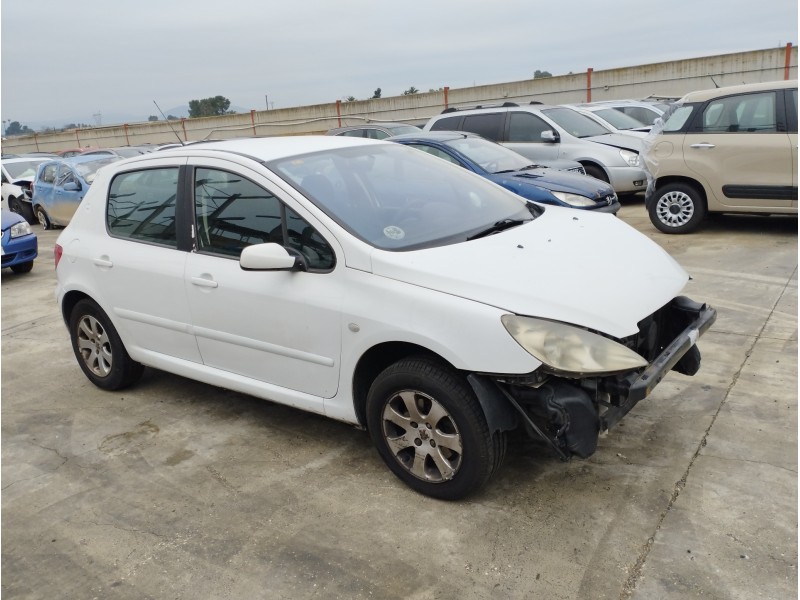 PEUGEOT 307 (S1)