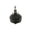 Recambio de servofreno para bmw serie 3 lim. (f30) 2.0 16v diesel referencia OEM IAM 4081076 020479806 