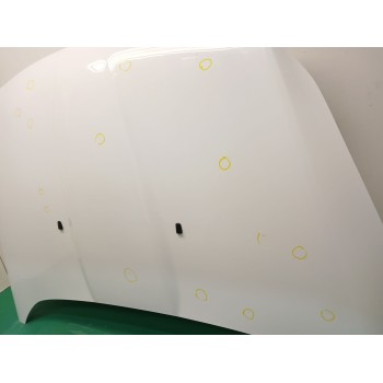 Recambio de capot para ford kuga ii (dm2) 2.0 tdci referencia OEM IAM 5262148  