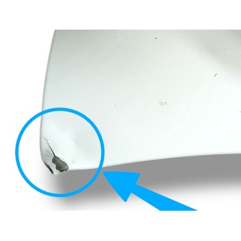 Recambio de capot para renault zoe (bfm_) zoe referencia OEM IAM   