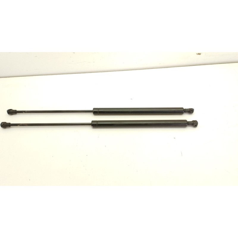 AMORTIGUADORES MALETERO / PORTON