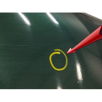 Recambio de aleta delantera derecha para volkswagen sharan (7m6/7m9) 2.8 v6 24v referencia OEM IAM  OBSERVAR FOTOS 