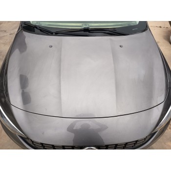 Recambio de capot para fiat tipo hatchback (356_, 357_) 1.4 (356hxa1b) referencia OEM IAM   