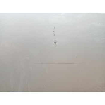 Recambio de puerta delantera derecha para toyota corolla verso (zer_, zze12_, r1_) 2.2 d-4d (aur10_) referencia OEM IAM   