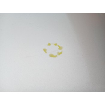 Recambio de capot para toyota corolla verso (zer_, zze12_, r1_) 2.2 d-4d (aur10_) referencia OEM IAM   