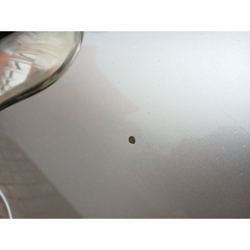 ALETA DELANTERA IZQUIERDA