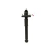 Recambio de amortiguador trasero derecho para mitsubishi outlander (cw0) 2.2 di-d cat referencia OEM IAM 4162A050  