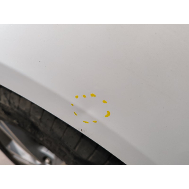 ALETA DELANTERA IZQUIERDA