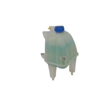 Recambio de deposito expansion para fiat ducato furgoneta (250) 100 multijet 2,2 d referencia OEM IAM   