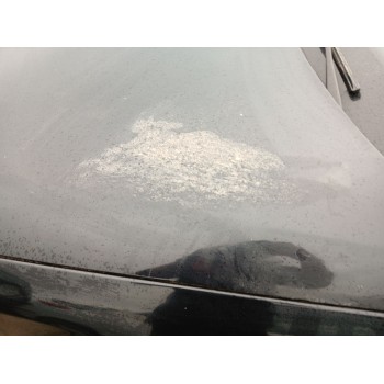 Recambio de capot para volkswagen passat b6 (3c2) 2.0 tdi 16v referencia OEM IAM 3C0823031C  