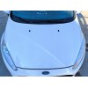 Recambio de capot para ford fiesta vi (cb1, ccn) 1.5 tdci referencia OEM IAM 2002312  