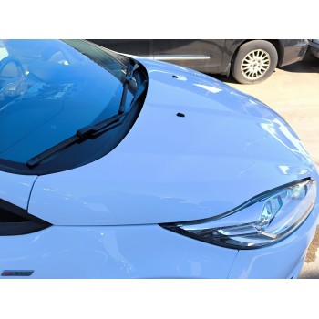 Recambio de capot para ford fiesta vi (cb1, ccn) 1.5 tdci referencia OEM IAM 2002312  