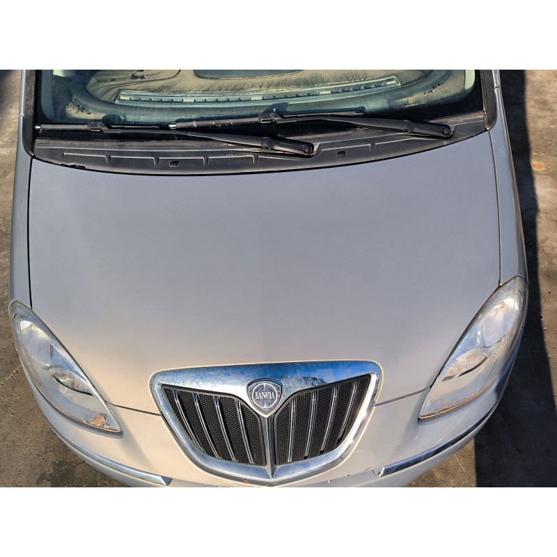 Recambio de capot para lancia musa (350_) 1.3 d multijet (350.axg11, 350.axg1a) referencia OEM IAM   