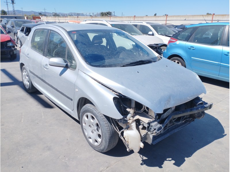 PEUGEOT 307 (S1)