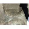 Recambio de mangueta delantera derecha para audi a1 (8x) 1.6 tdi referencia OEM IAM 6Q0256S  