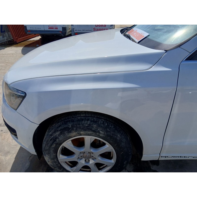 ALETA DELANTERA IZQUIERDA