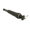 Recambio de amortiguador trasero derecho para smart forfour 0.9 turbo cat referencia OEM IAM A4533262200  
