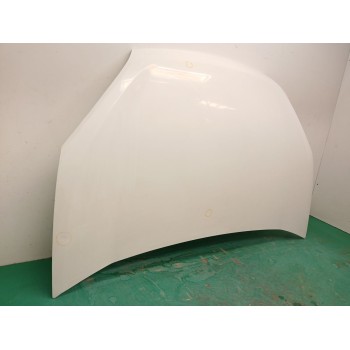 Recambio de capot para fiat doblo autobús (263_) 1.3 d multijet (263axc1a) referencia OEM IAM 52047966  