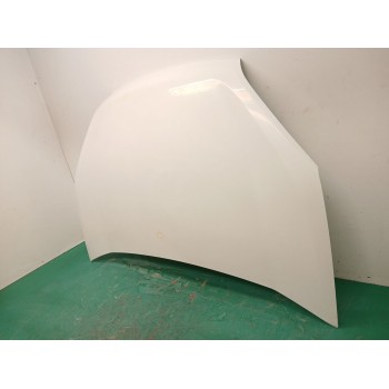 Recambio de capot para fiat doblo autobús (263_) 1.3 d multijet (263axc1a) referencia OEM IAM 52047966  